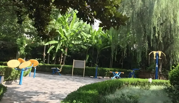 《你行！你上！》：弹琴吧！爸爸